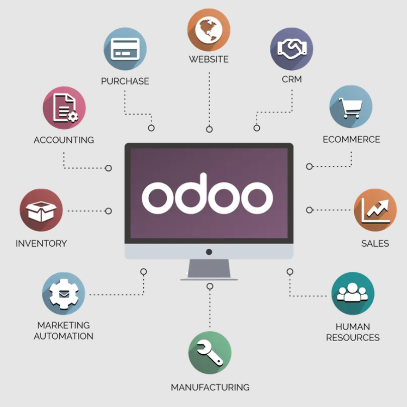 Odoo Consultation - ERP
